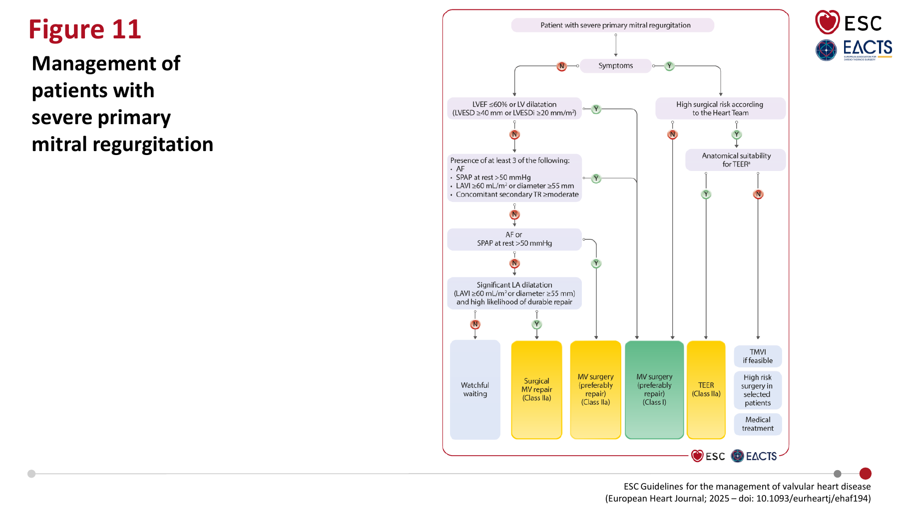 Management of patients with severe primary mitral regurgitation - ESC 2025