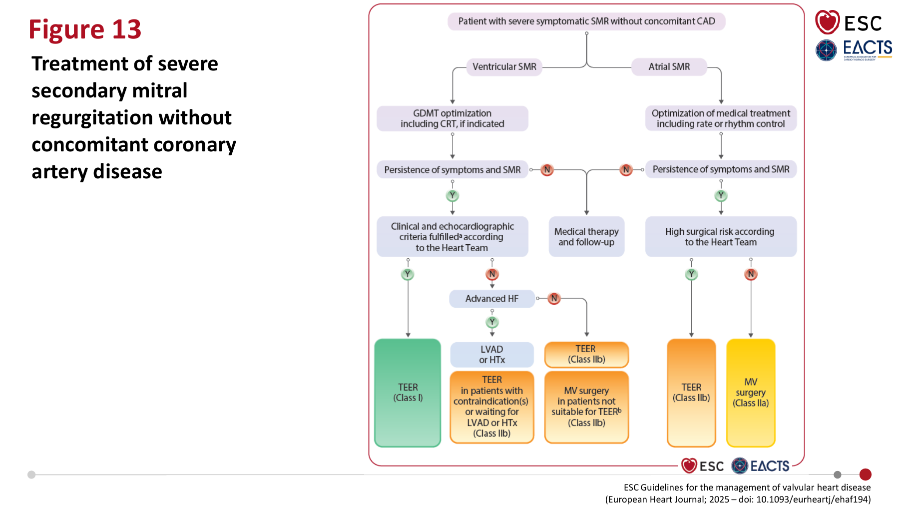 Treatment of severe secondary mitral regurgitation - ESC 2025