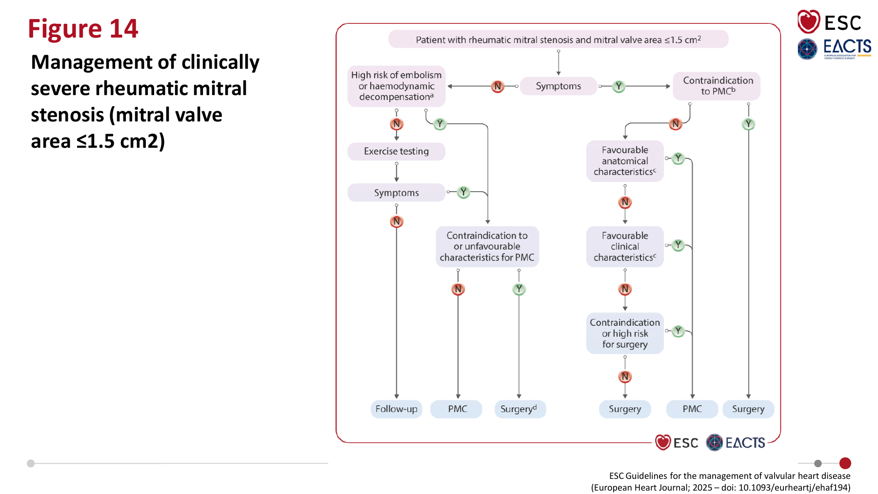 Management of clinically severe rheumatic mitral stenosis - ESC 2025