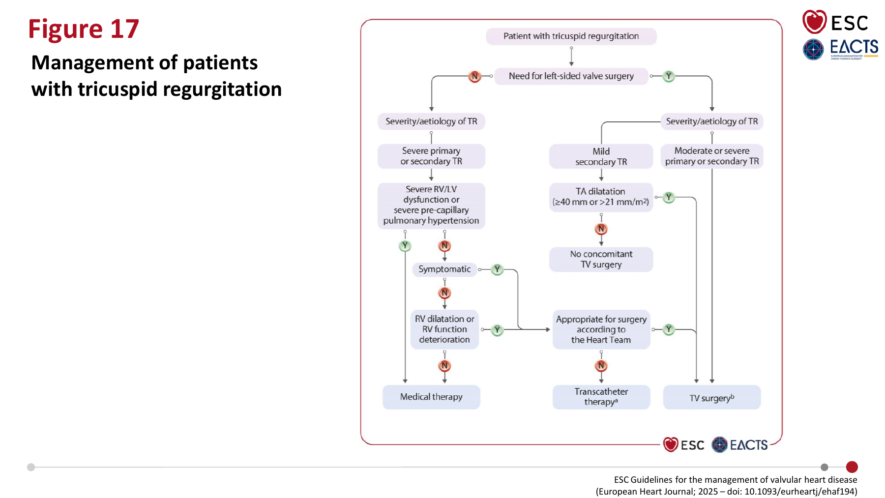 Management of patients with tricuspid regurgitation - ESC 2025