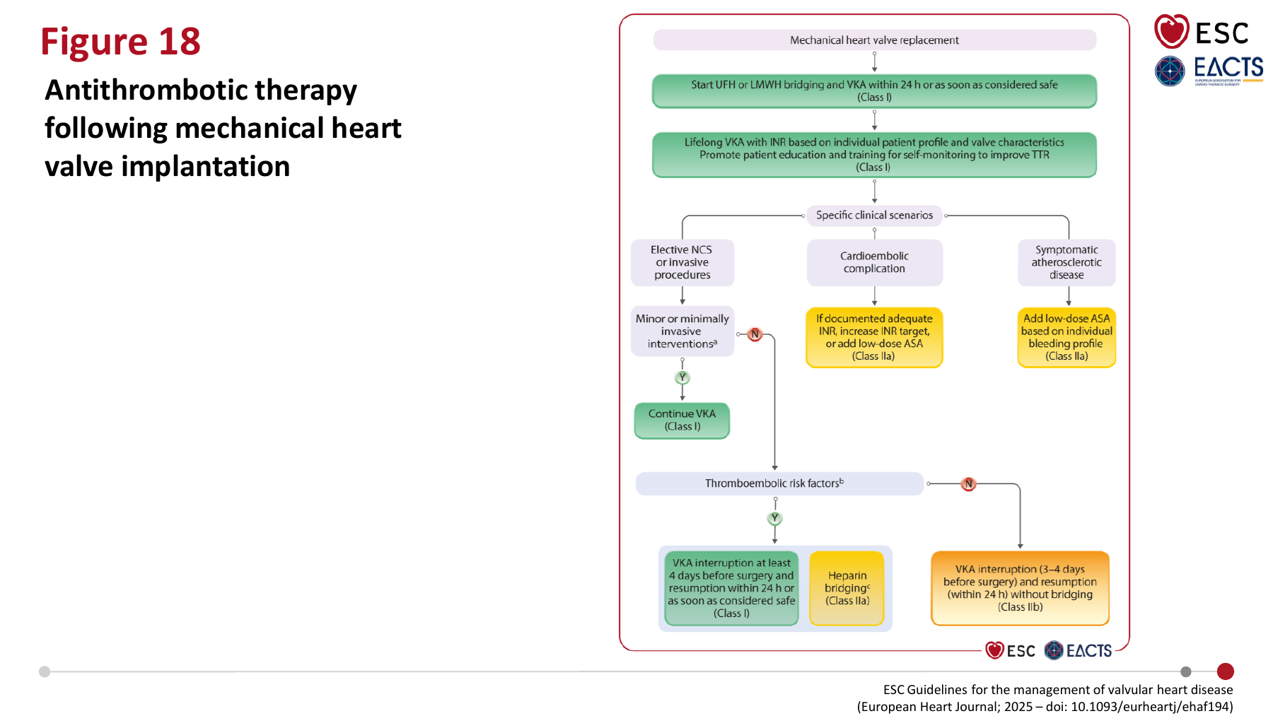 Antithrombotic therapy following mechanical heart valve implantation - ESC 2025