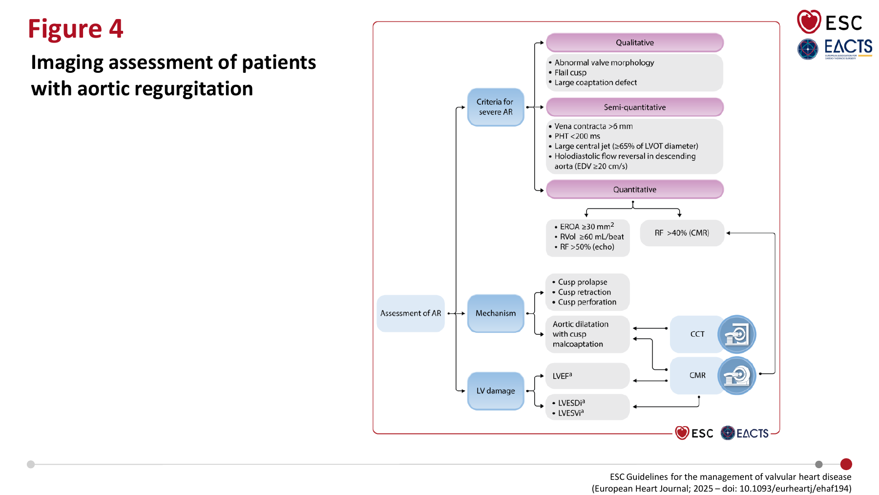 Imaging assessment of patients with aortic regurgitation - ESC 2025