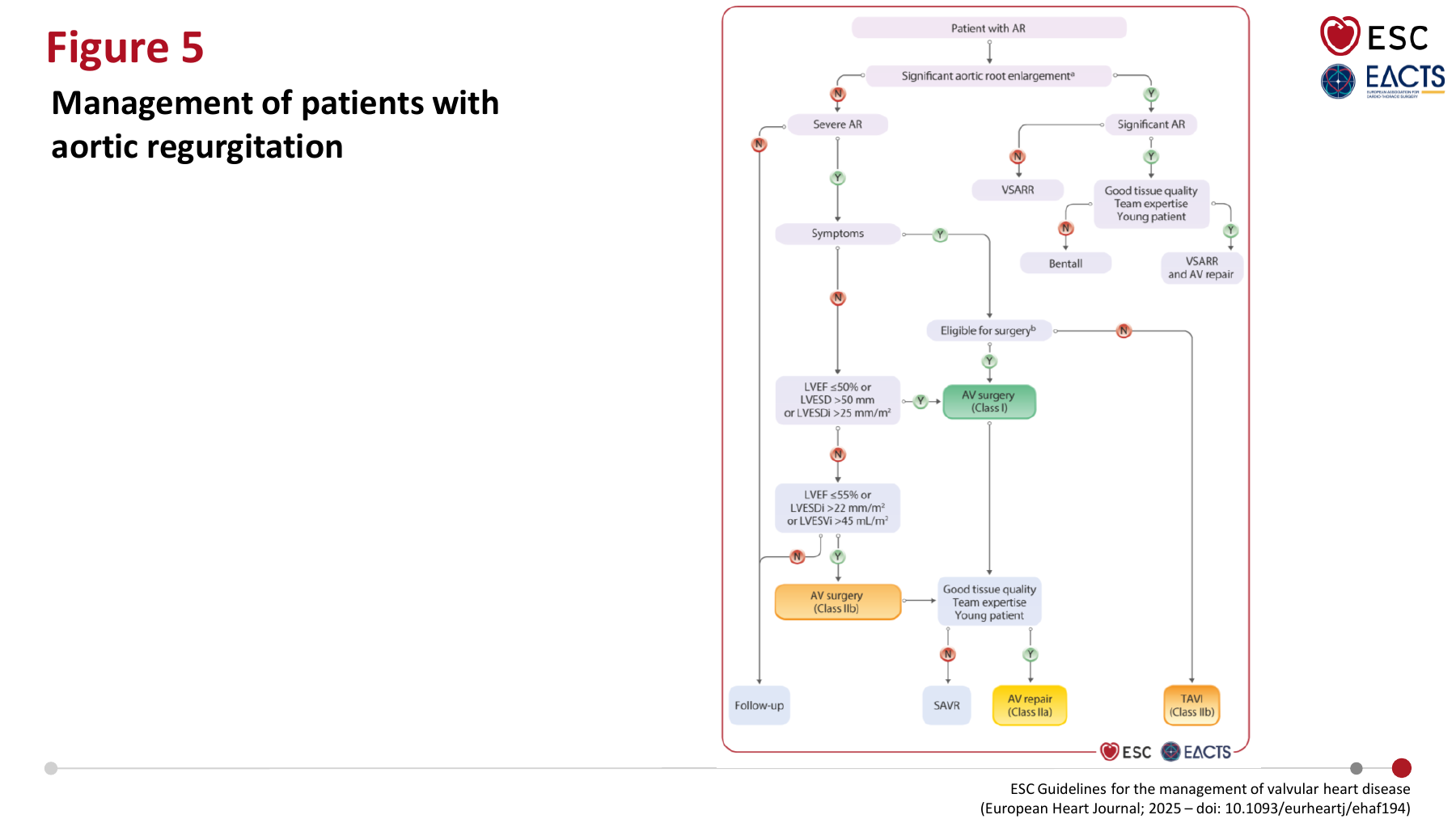 Management of patients with aortic regurgitation - ESC Guidelines 2025