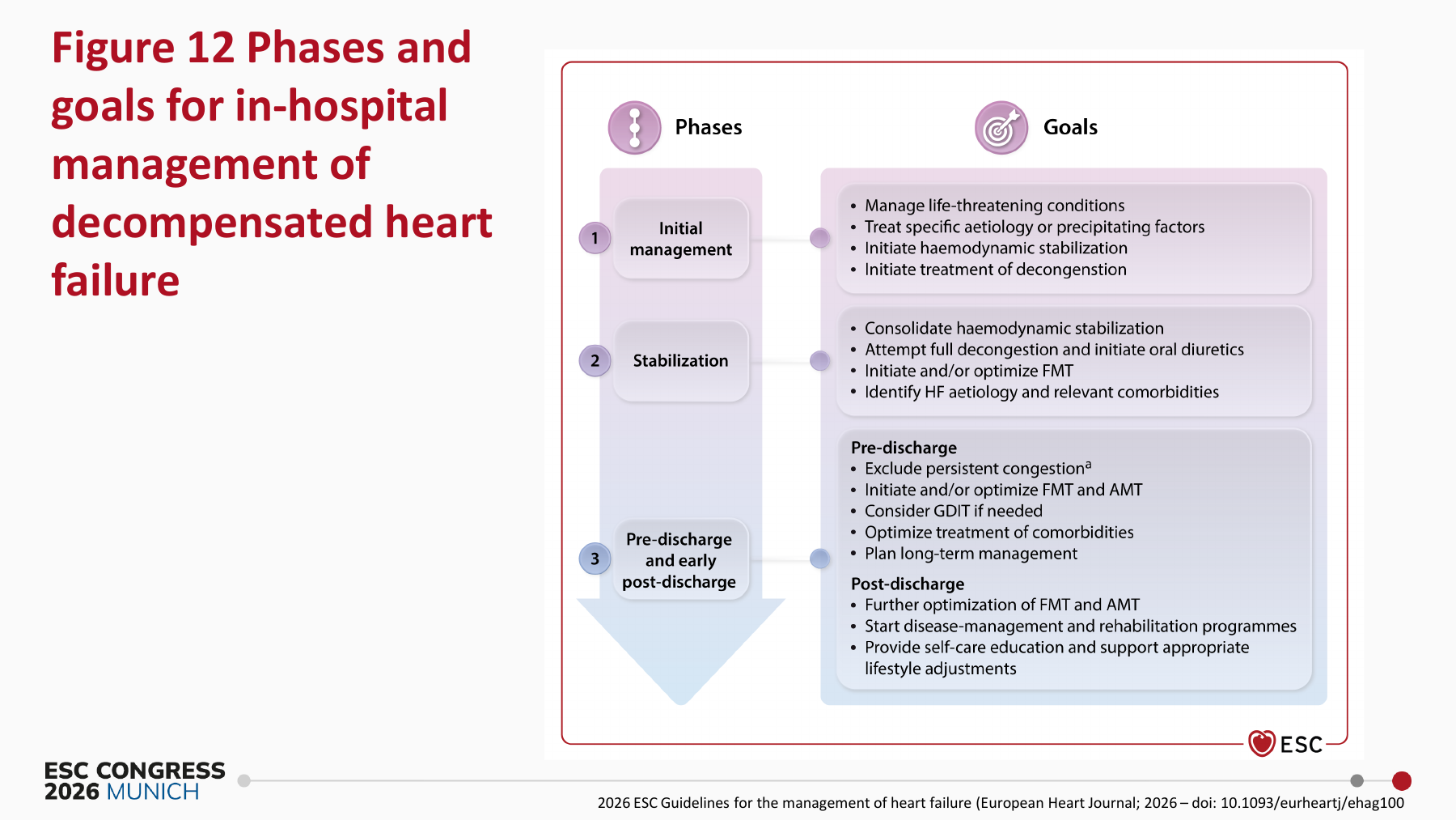 In-hospital phases and pre-discharge rapid optimization