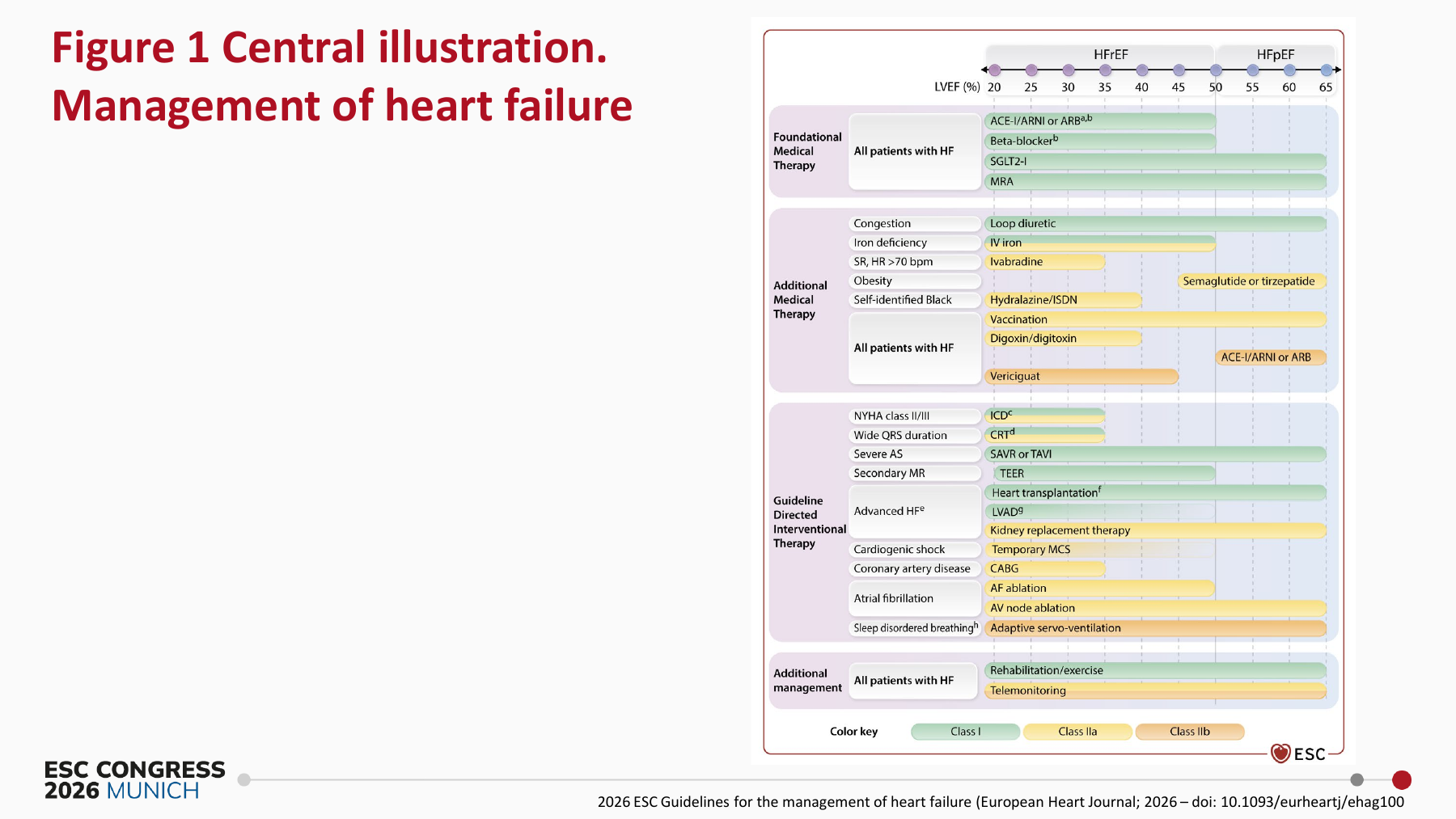 Management of heart failure - Central Illustration ESC Guidelines