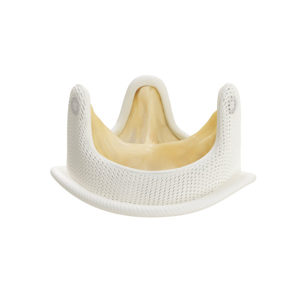Van sinh học mô heo Medtronic Hancock II Mitral